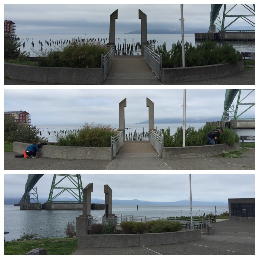 Maritime Memorial Park Clean Up 